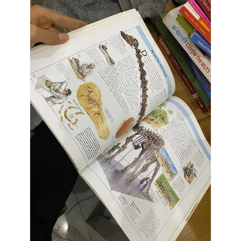 Prehistory and the Dinosaurs - Robert Muir Wood 560832