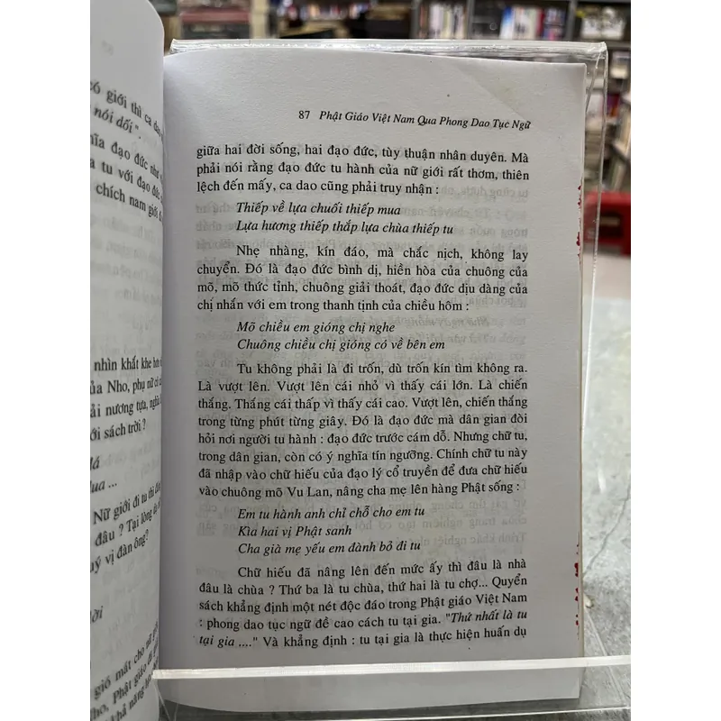 NẮNG VÀ HOA - CAO HUY THUẦN 738156