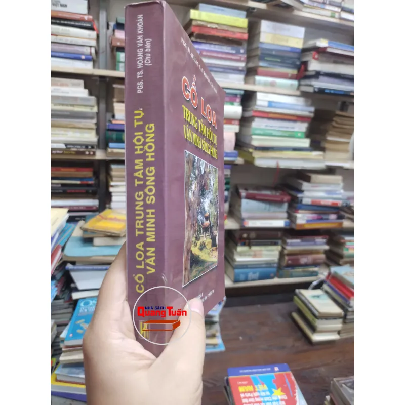 Sách - Cổ Loa Trung tâm hội tụ văn minh Sông Hồng - PGS TS Hoàng Văn Khoán (A1) 564211
