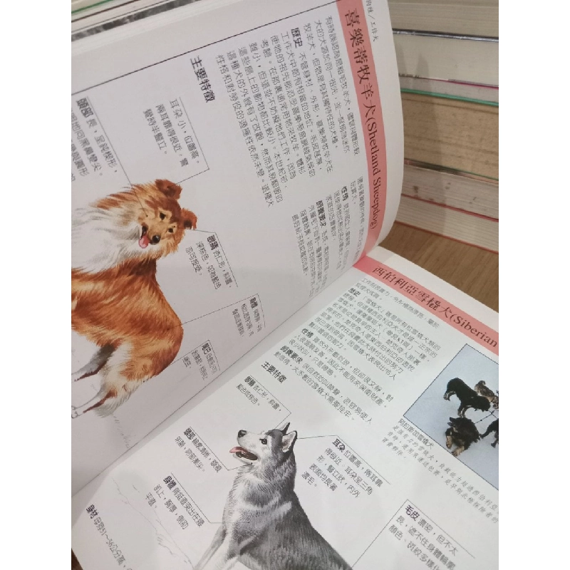 Sách tiếng Trung 19 730802