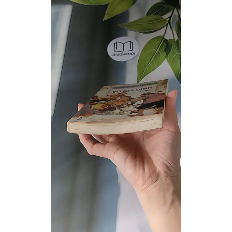 Vô Gia Đình (2001) - Hector Malot 607676