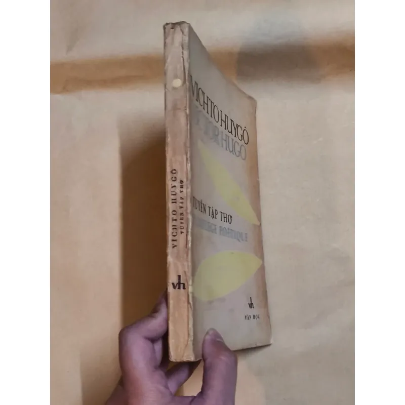 Tuyển Tập Thơ - Victor Hugo (song ngữ Pháp-Việt, có tranh minh họa) 993844