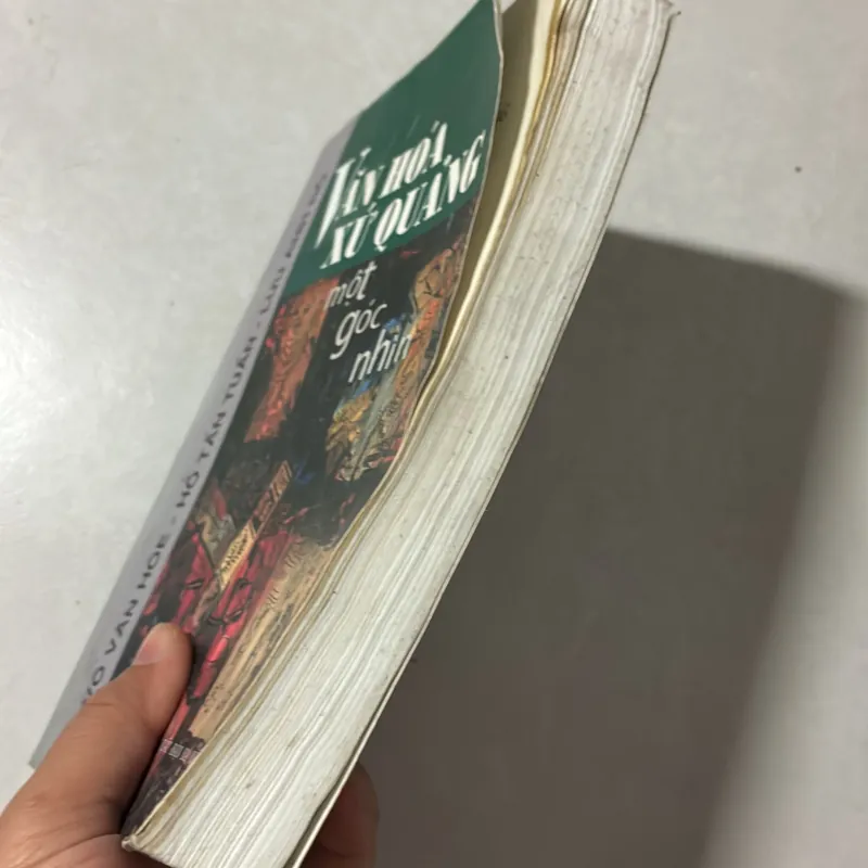 Văn hoá xứ Quảng một góc nhìn 766376