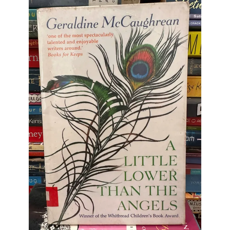 A Little Lower Than the Angels by Geraldine McCaughream 708531