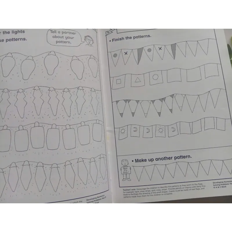 Developing Numeracy: 1008523