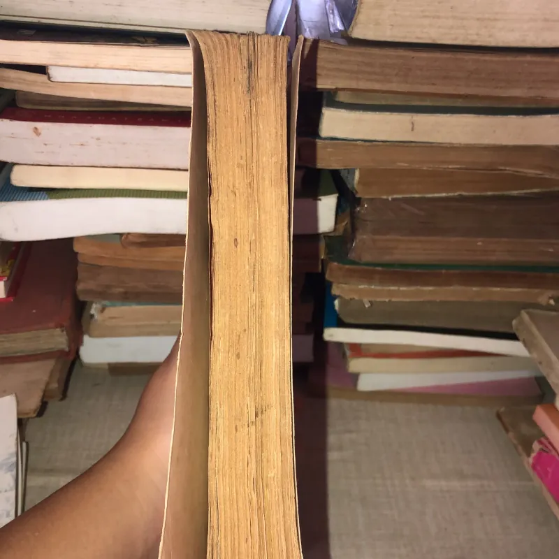 Phúc âm Chúa Nhật 995100