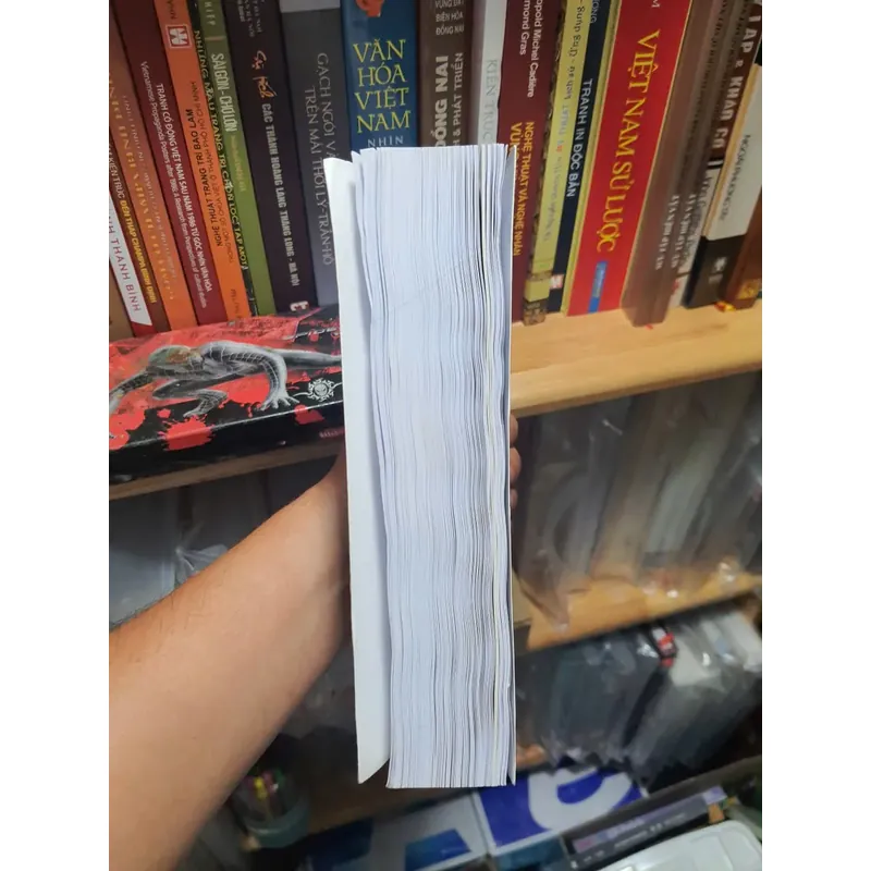 Mỹ Thuật Sài Gòn Thành Phố Hồ Chí Minhh 564268