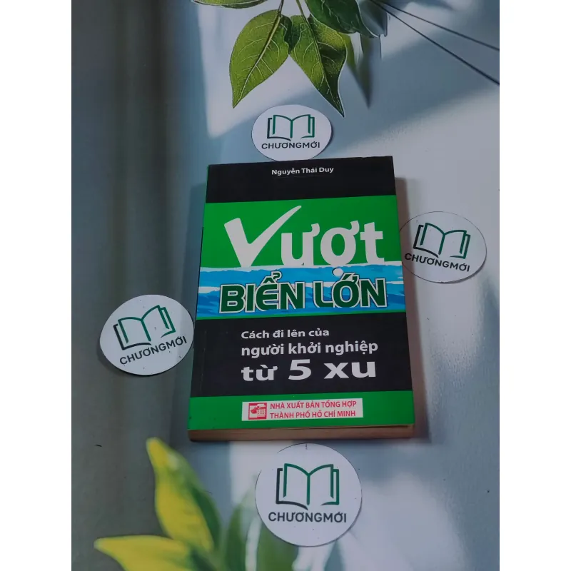 Vượt biển lớn: Cách đi lên của người khởi nghiệp từ 5 xu - Nguyễn Thái Duy 688542