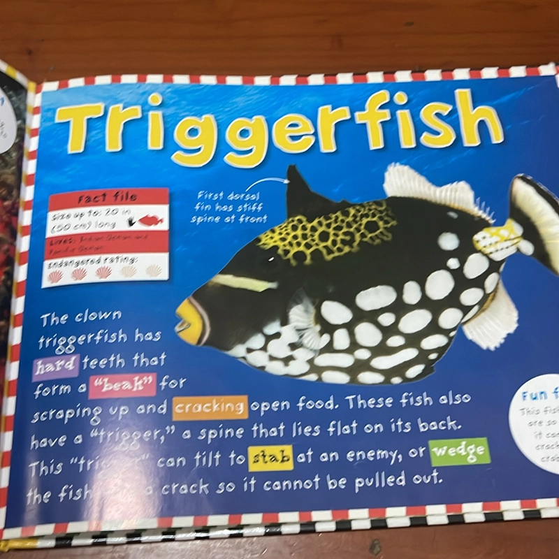 PICTURE BOOK Coral reef 536436