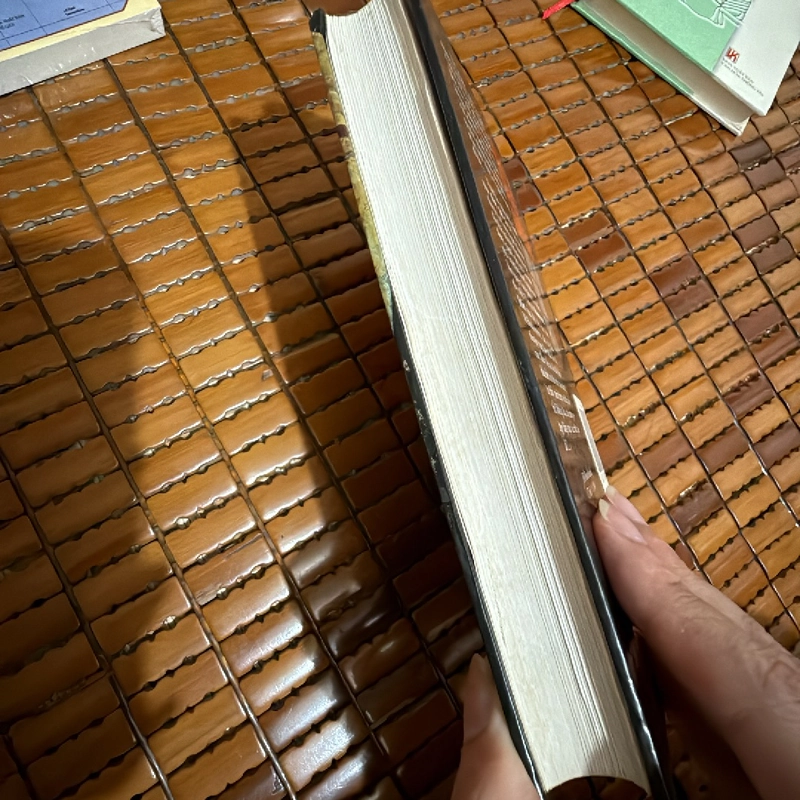 Tình yêu thời thổ tả - Gabriel Garcia Marquez 453592