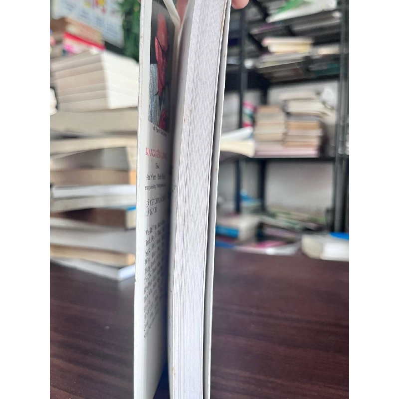 Mang Viên Long Cũng Chỉ Là Giấc Mơ - Không rõ 933636