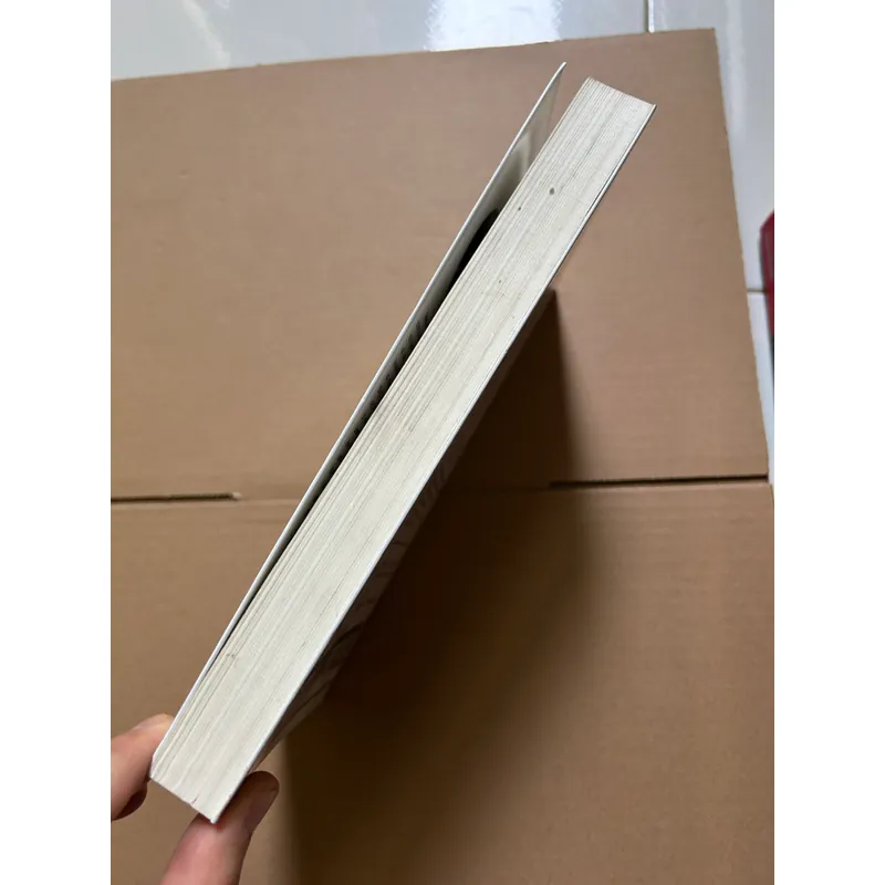 Kiệt quệ tài chính thế hệ Y - Erin Lowry 736729