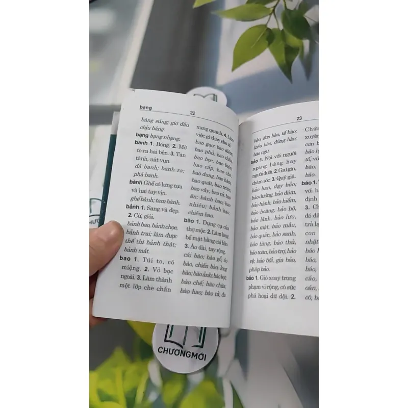 Từ Điển Chính Tả Tiếng Việt 727289