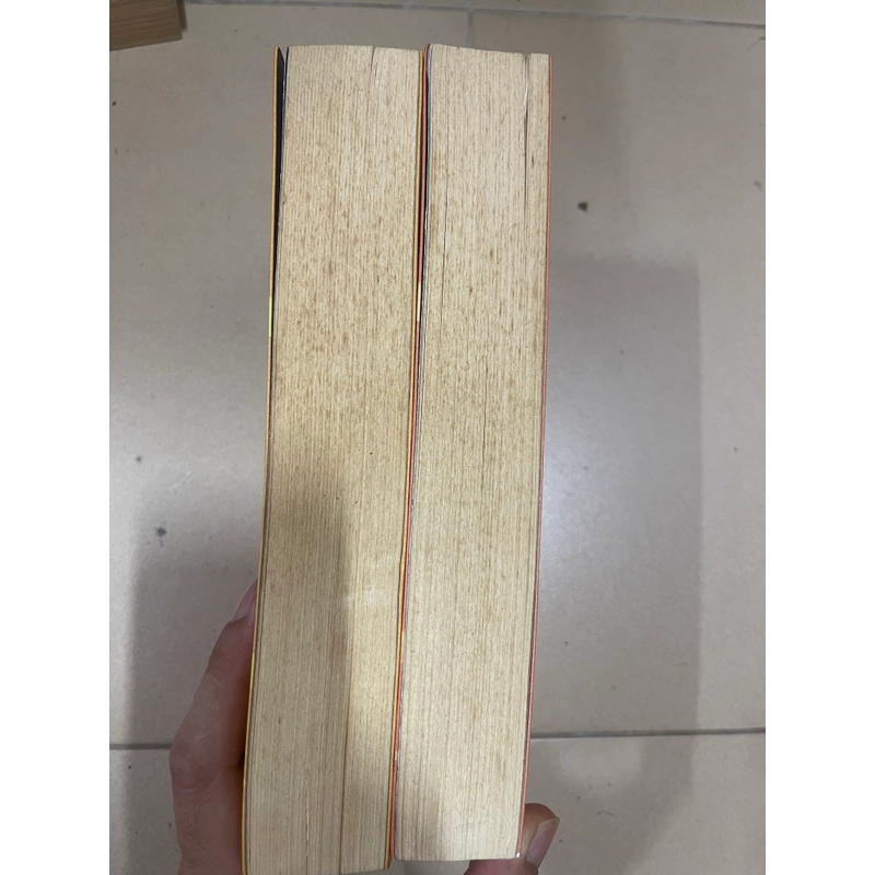 Truy tìm ký ức  full bộ 2 tập - Đinh Mặc (c43) 551577