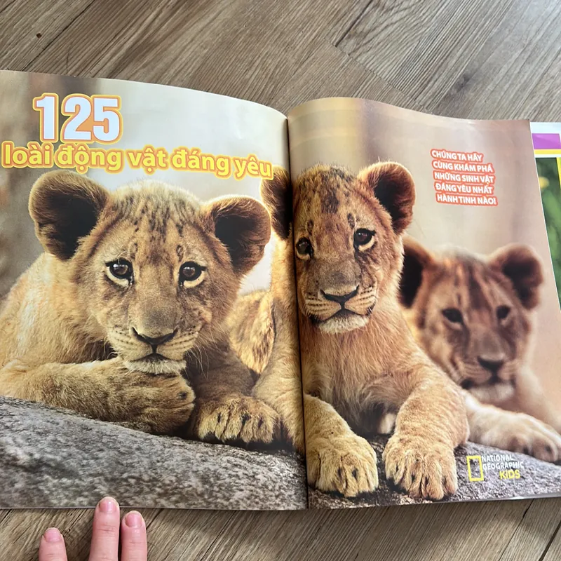 125 loài động vật đáng yêu - sách in màu đẹp cho bé 639924