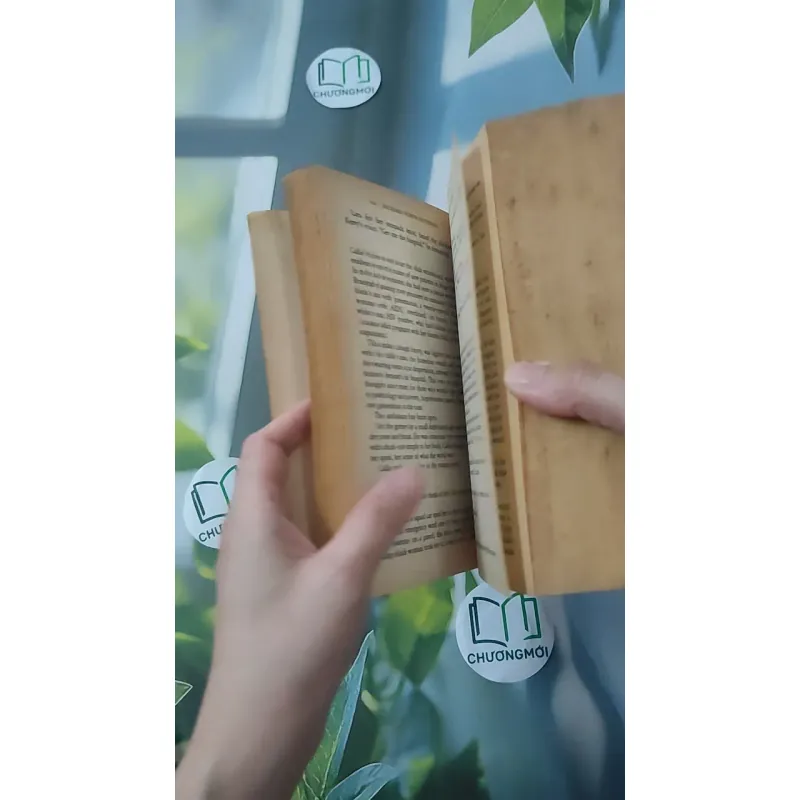 Balance of Power - Richard North Patterson 1027507