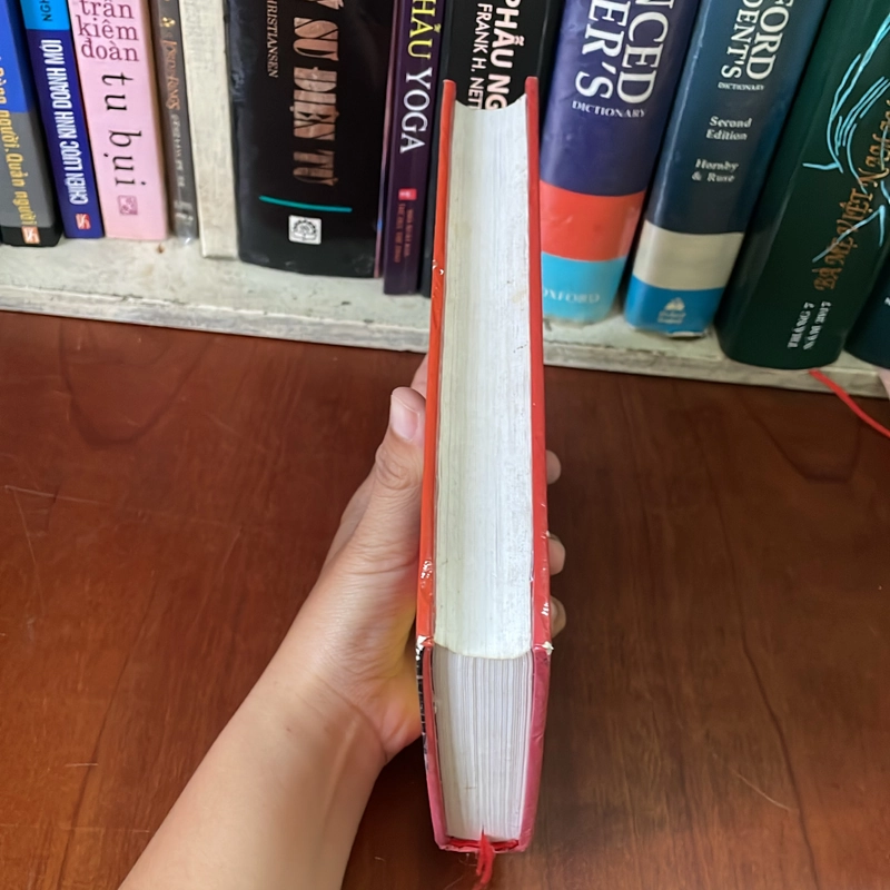 II Tiểu Thuyết: Ruồi Trâu - ETHEL LILIAN VOYNICH - 2013 542732