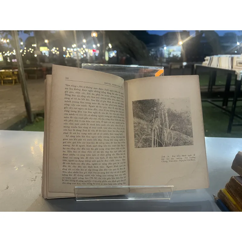 NHỮNG NHÓM DÂN TỘC THUỘC NGỮ HỆ NAM Á Ở TÂY BẮC VIỆT NAM 590253