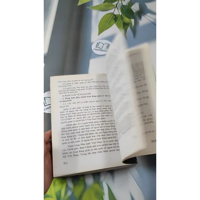 Giáo Trình Luật Ngân Hàng Việt Nam 727229