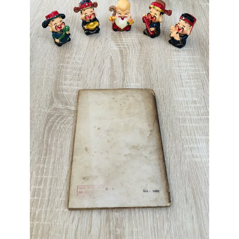 SÀI GÒN TRONG ÁNH CHỚP CHÓI LÓA CỦA LỊCH SỬ  931973