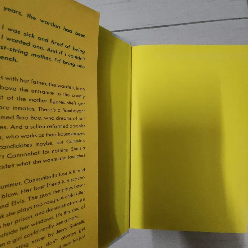 Sách The Warden's daughter 716924