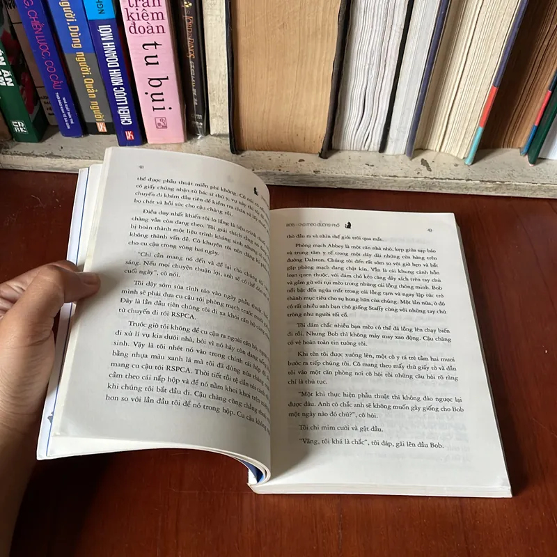 II Tự Truyện: Bob, Chú Mèo Đường Phố - JAMES BOWEN - 2017 569287