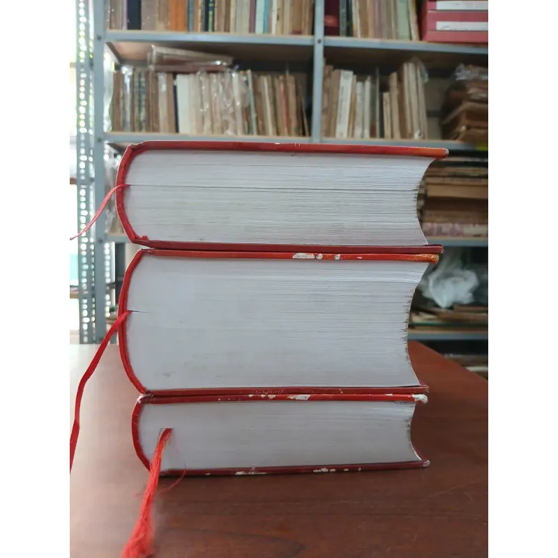 LỊCH SỬ NAM BỘ KHÁNG CHIẾN (BÌA CỨNG) 1034880
