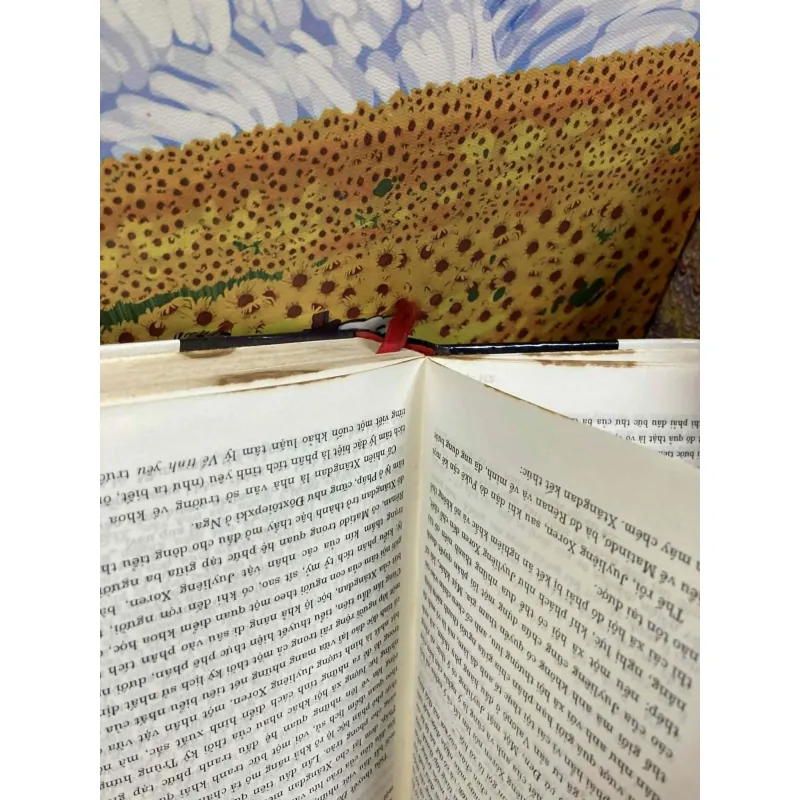 Đỏ Và Đen - Stendhal 1025616