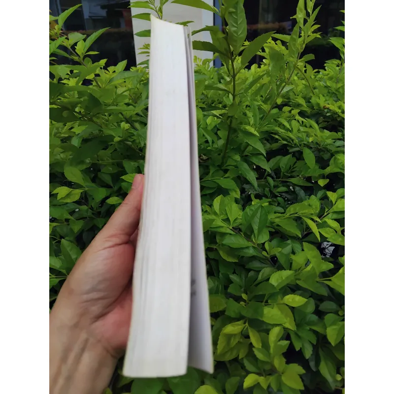 Âm thanh và cuồng nộ của William Faulkner 975211