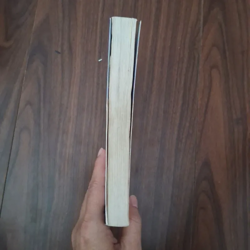 Em là nhà - lan rùa 748034