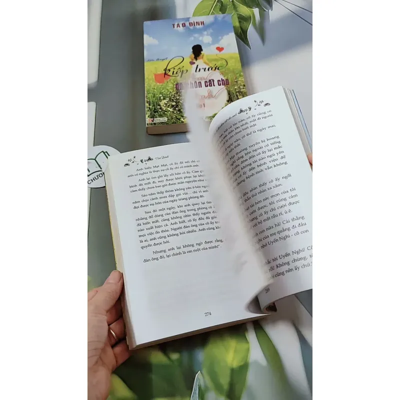 Bộ Kiếp Trước Em Đã Chôn Cất Cho Anh - Tào Đình 744693