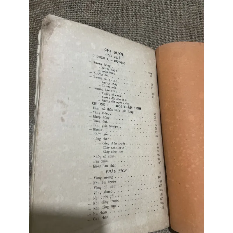 Giải phẫu & Phẫu Thuật xương chị trên; Xb 1957 1011242