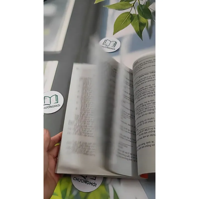 Căn Duyên Tiền Định 727287