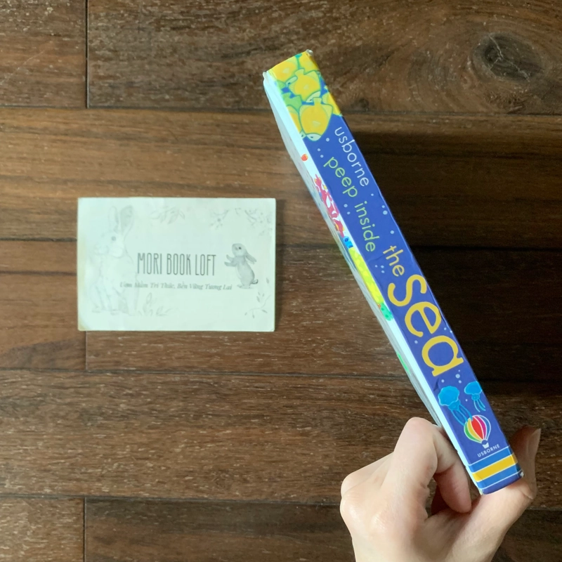 Sách ngoại văn Peep Inside The Sea - M.ấ.t Flap trang 1,3, miếng lật cũ, Used 540734