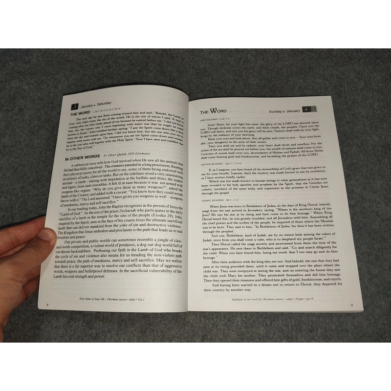 THE WORD IN OTHER WORDS - BIBLE DIARY 2015 517733