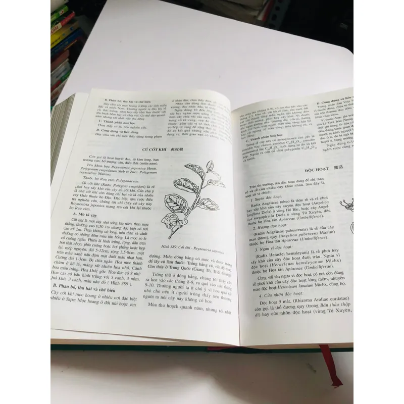 1. 📚 NHỮNG CÂY THUỐC VÀ VỊ THUỐC VIỆT NAM – Đỗ Tất Lợi 557996