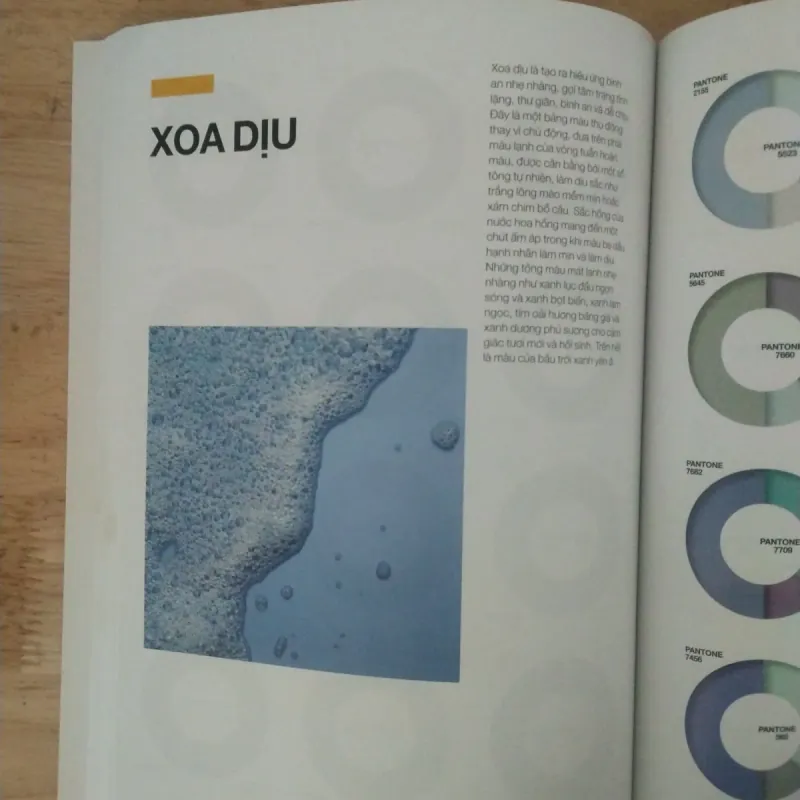 Cẩm nang phối màu pantone  1006354