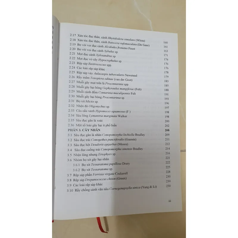 CÔN TRÙNG NHỆN GÂY HẠI CÂY ĂN TRÁI....  799628