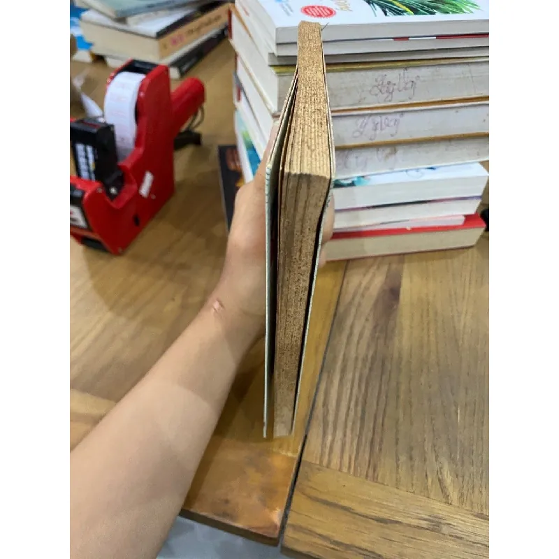 Nổi buồn thượng lưu - Đoàn Tú Anh 429598