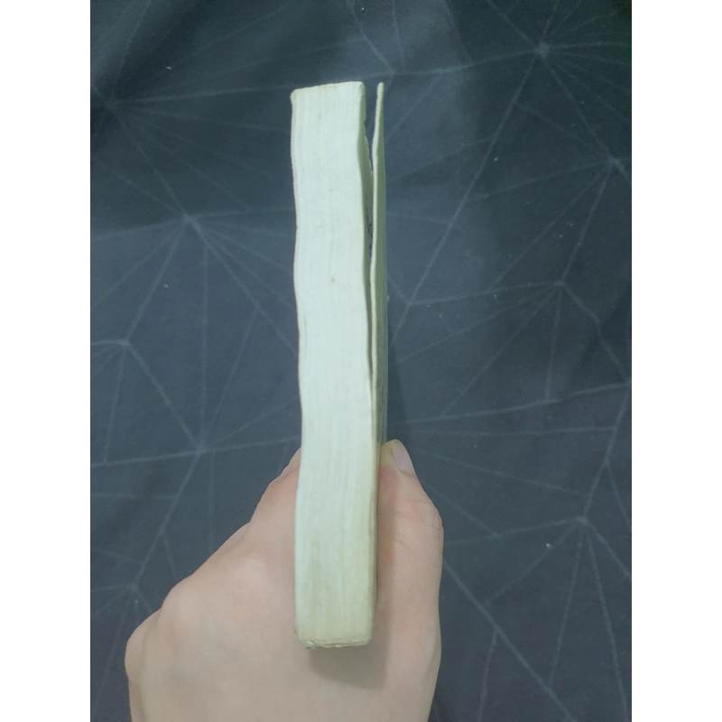 "Chuyện tình Lệ Giang" - Hoa Nam 498940