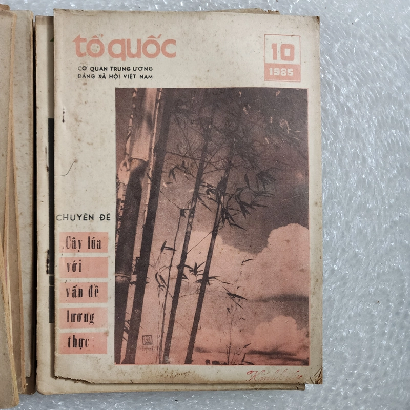Báo Tổ quốc của Đảng Xã hội Việt Nam | 21 số từ 1979 đến 1988 nhiều số chuyên đề 452249