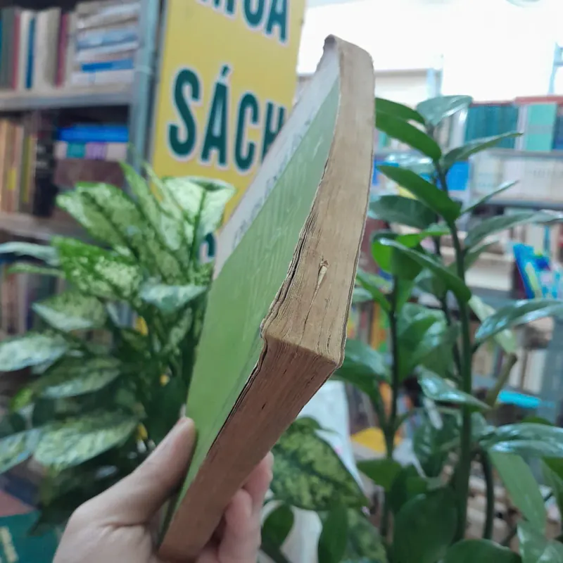 PHÂN LOẠI HỌC THỰC VẬT - LƯƠNG NGỌC TOẢN 1042758
