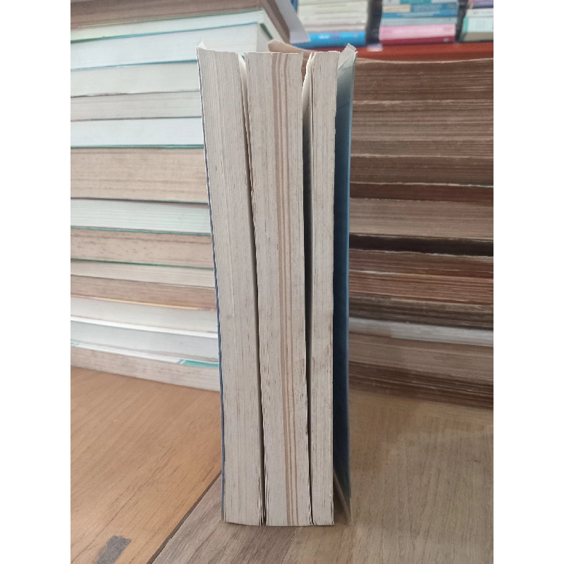 Almanac văn hóa thế giới 2002-2003 - Việt Anh, Hồng Phúc 974000