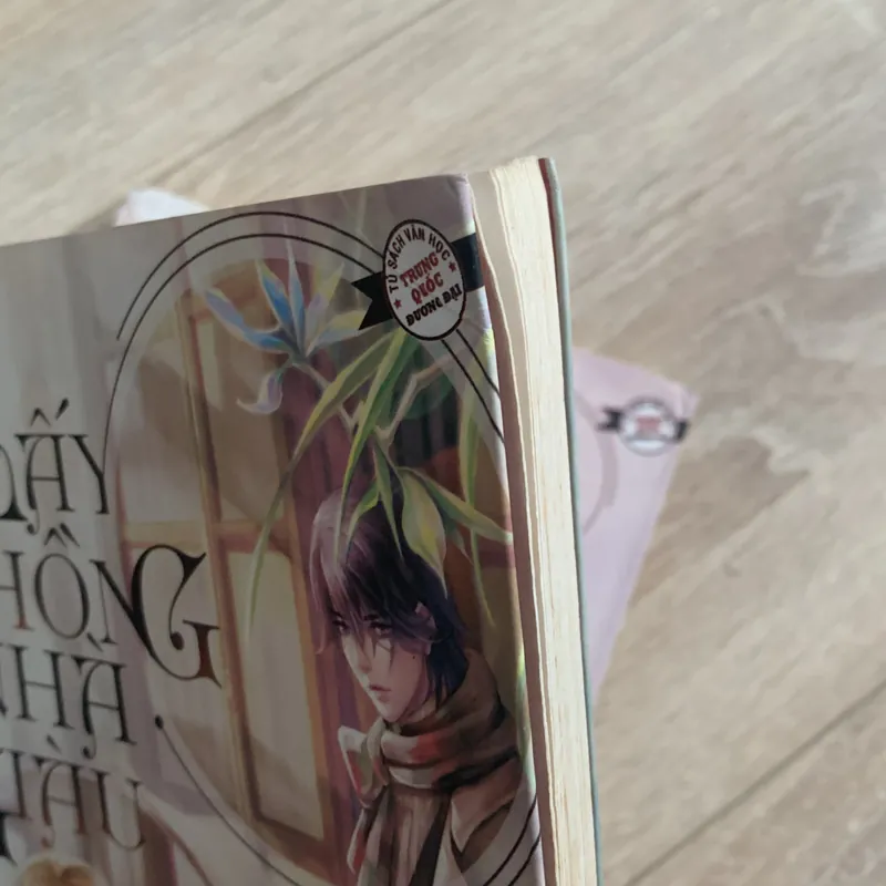 Lấy chồng nhà giàu - Triệt Dạ Lưu Hương 558988