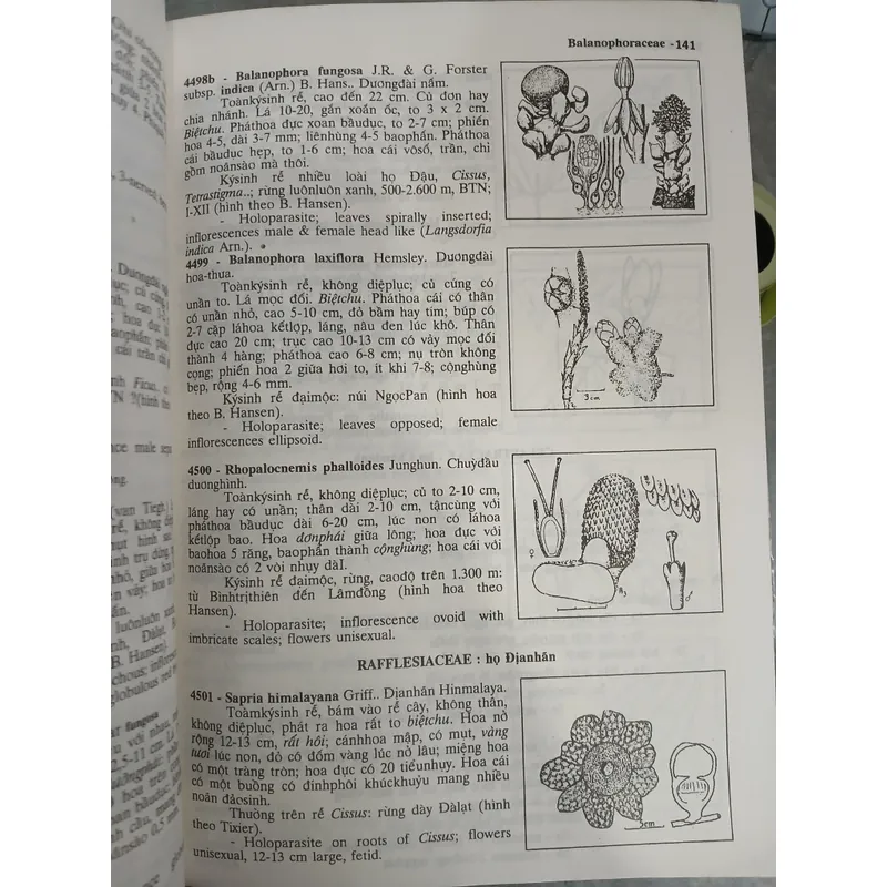 CÂY CỎ VIỆT NAM (QUYỂN I, II, III) - PHẠM HOÀNG HỘ 740112