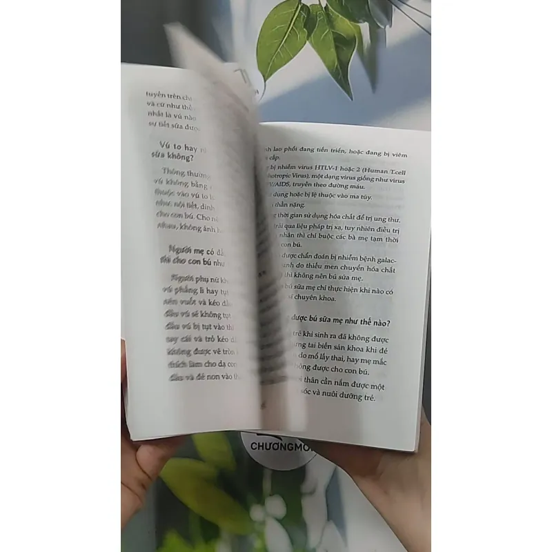 Chăm sóc sức khỏe mẹ và con thời kỳ hậu sản - Giáo sư Lê Đềm 688501