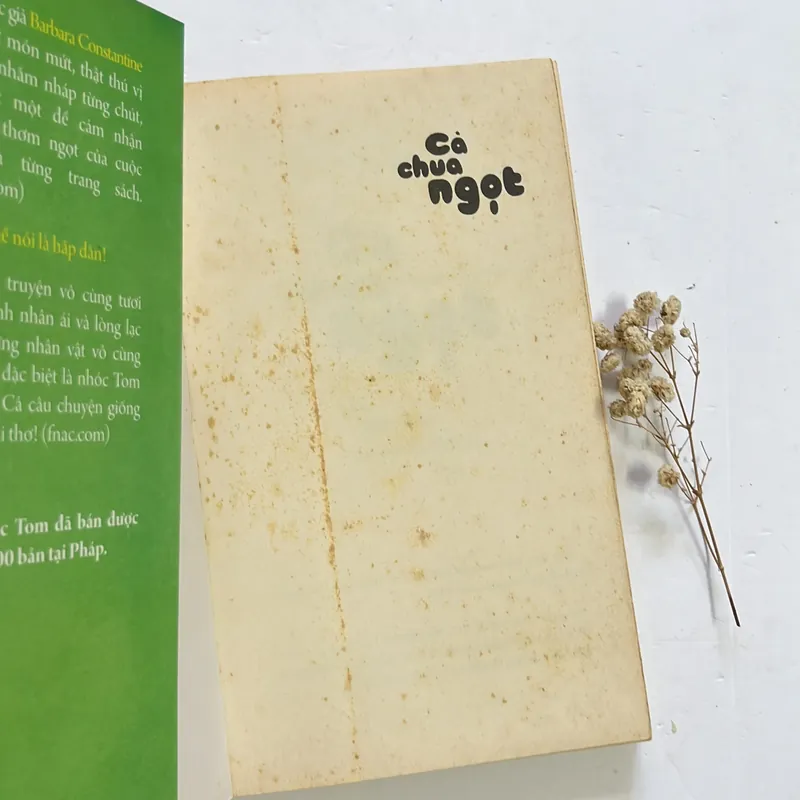 Cà chua ngọt - Barbara Constantine 597408