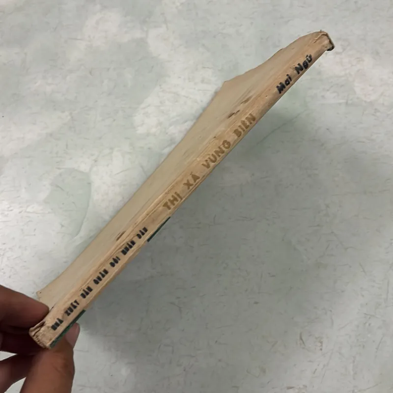 Thị xã vùng biên - Mai Ngữ 1001404