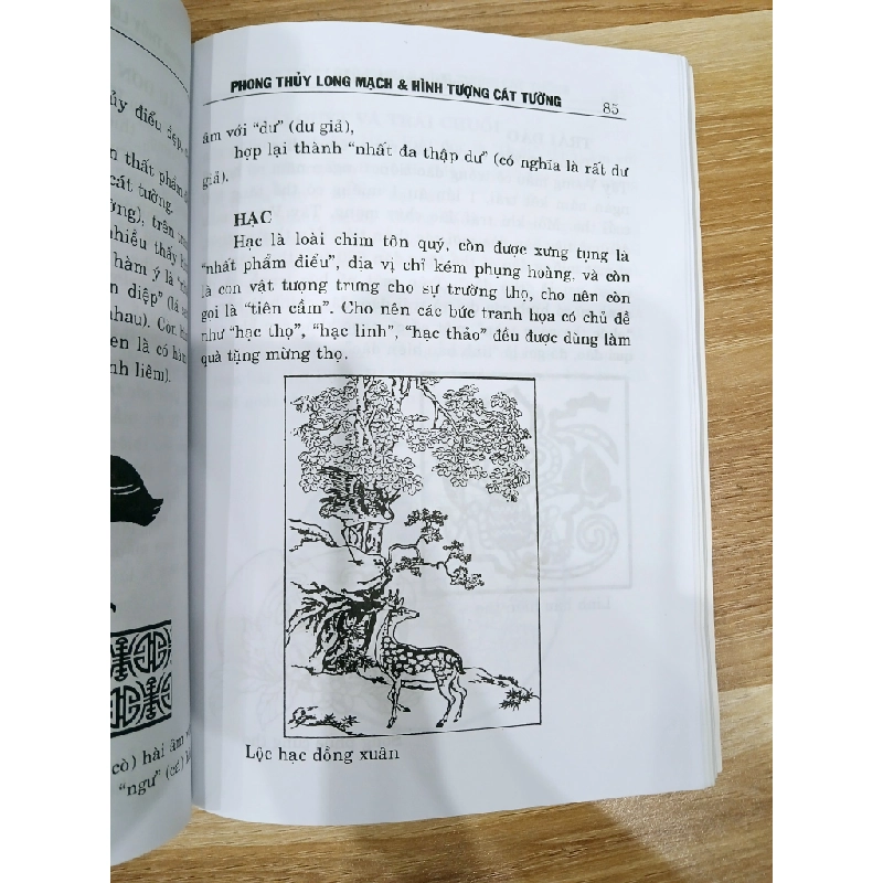 Phong Thủy Long Mạch & Hình Tượng Cát Tường 548392