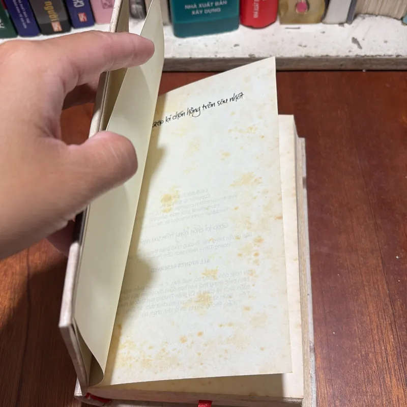 [Bìa Cứng] - II Sách Phật Giáo: Gặp Lại Chốn Hồng Trần Sâu Nhất - Bạch Hạc Mai - 2014 795571